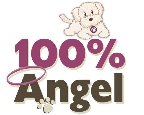 Logo Design for 100% Angel