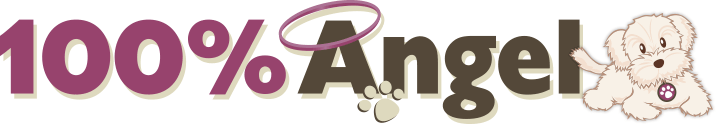 Logo Design for 100% Angel