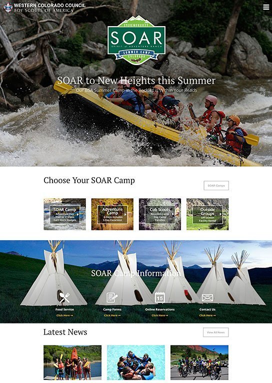 Website Design