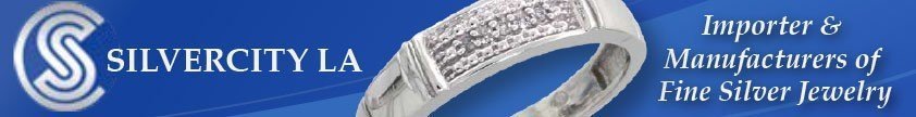 Web Banner Design for the Silvercity LA