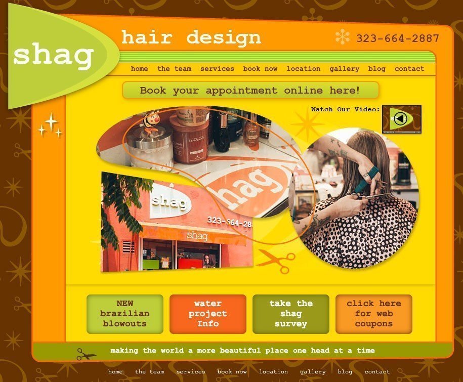 Website Design for Shag Hair Salon